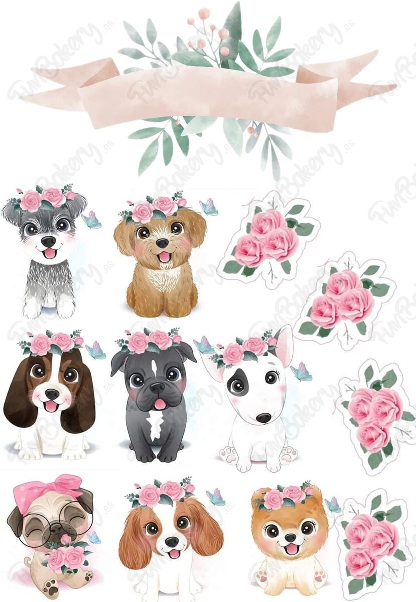 Perros (Magdalenas)