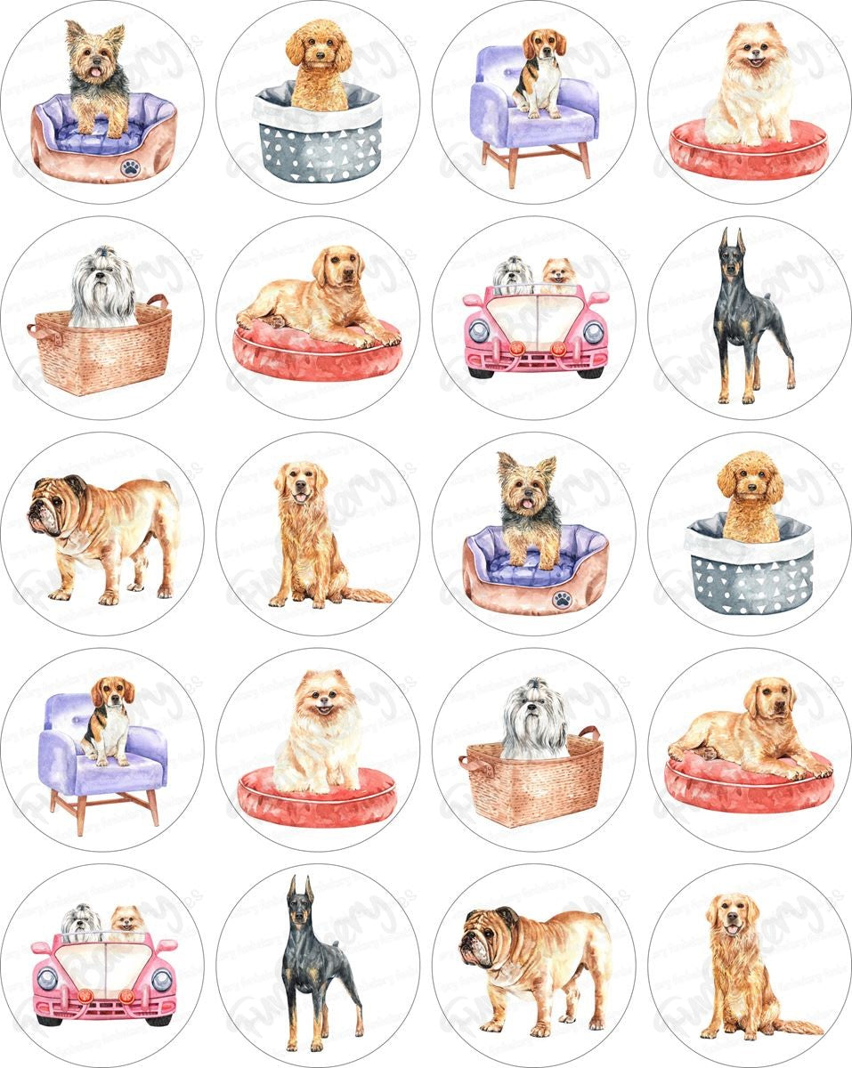 Perros (Magdalenas)
