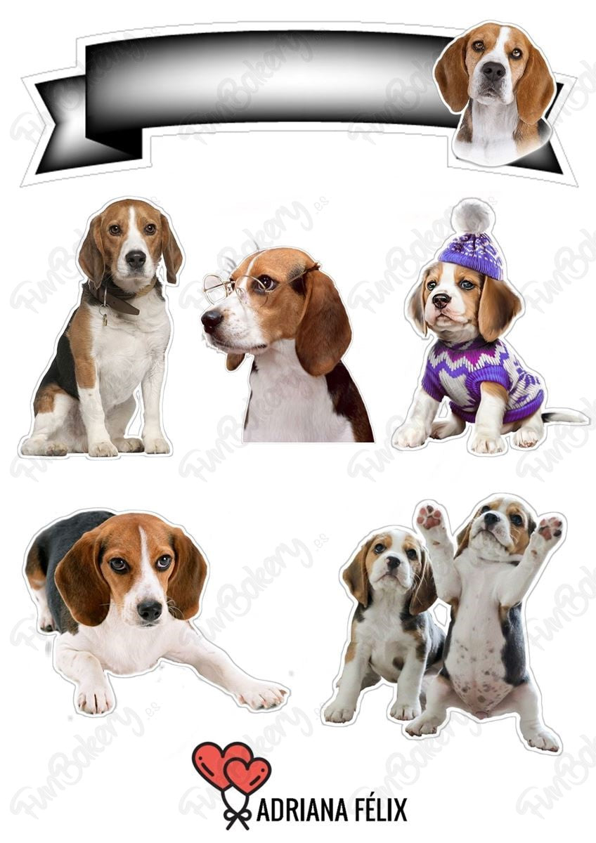 Perros (Magdalenas)