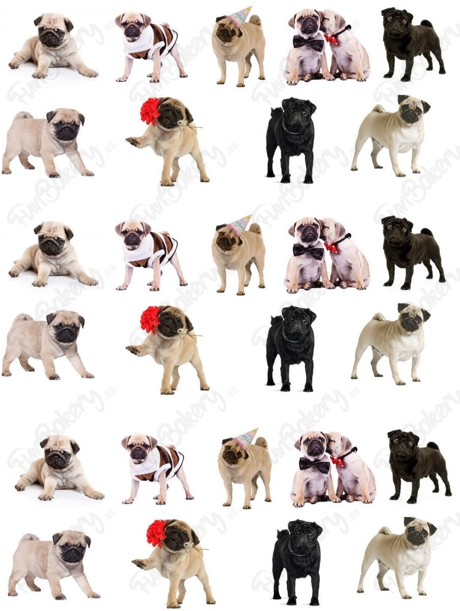 Perros (Magdalenas)