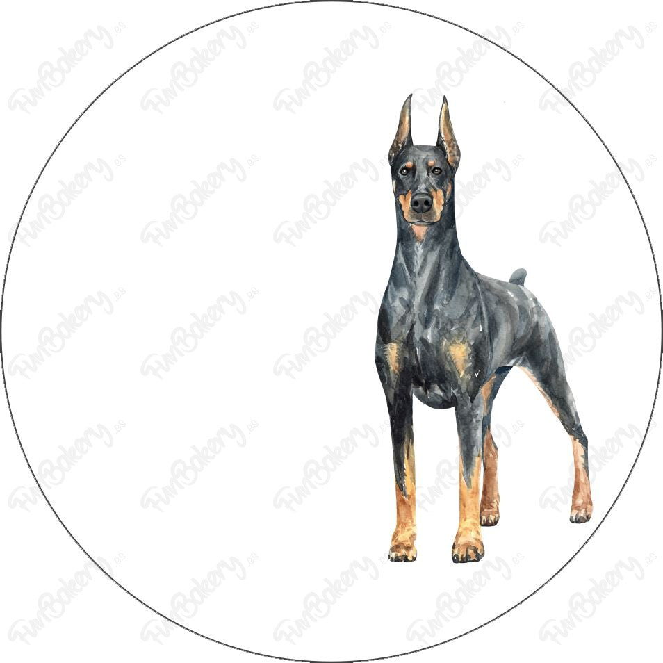 Perros (Discos 1-8)