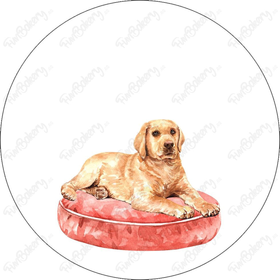Perros (Discos 1-8)