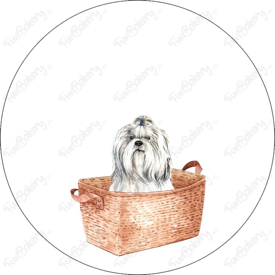 Perros (Discos 1-8)