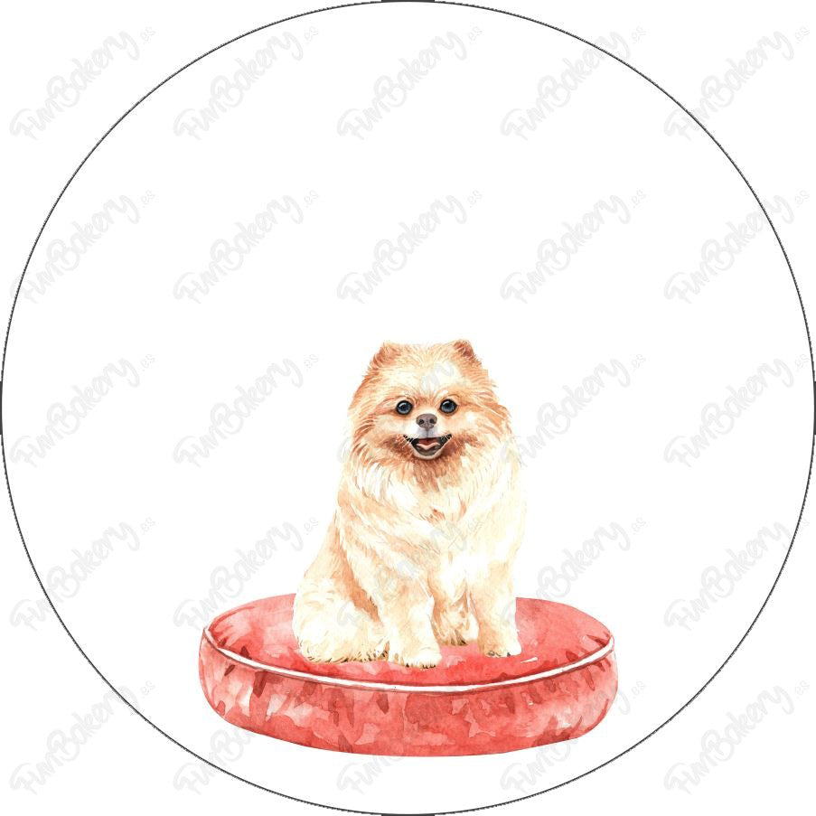 Perros (Discos 1-8)