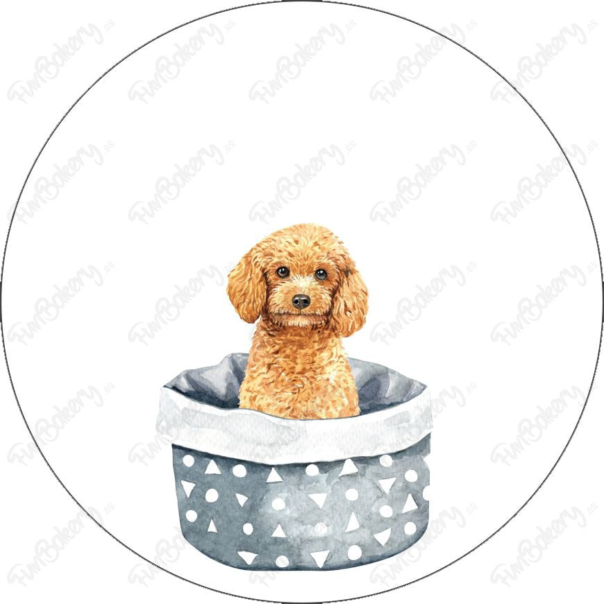 Perros (Discos 1-8)