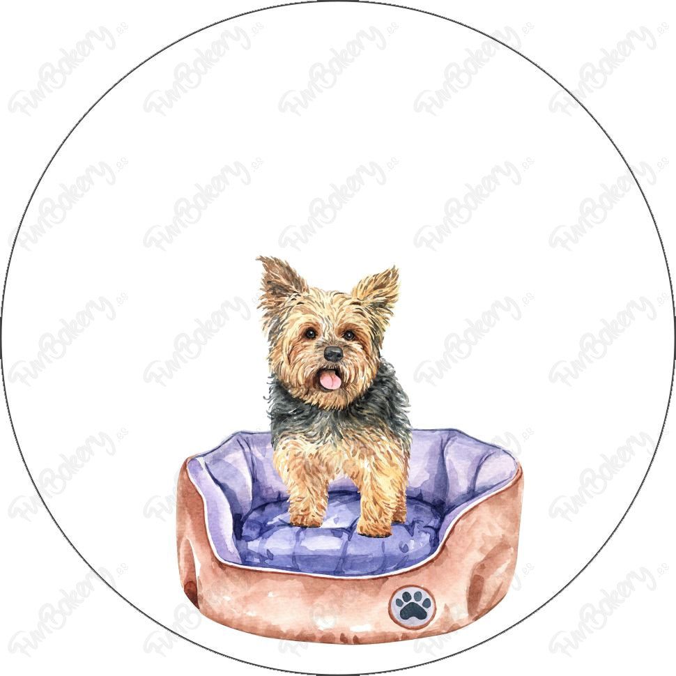 Perros (Discos 1-8)