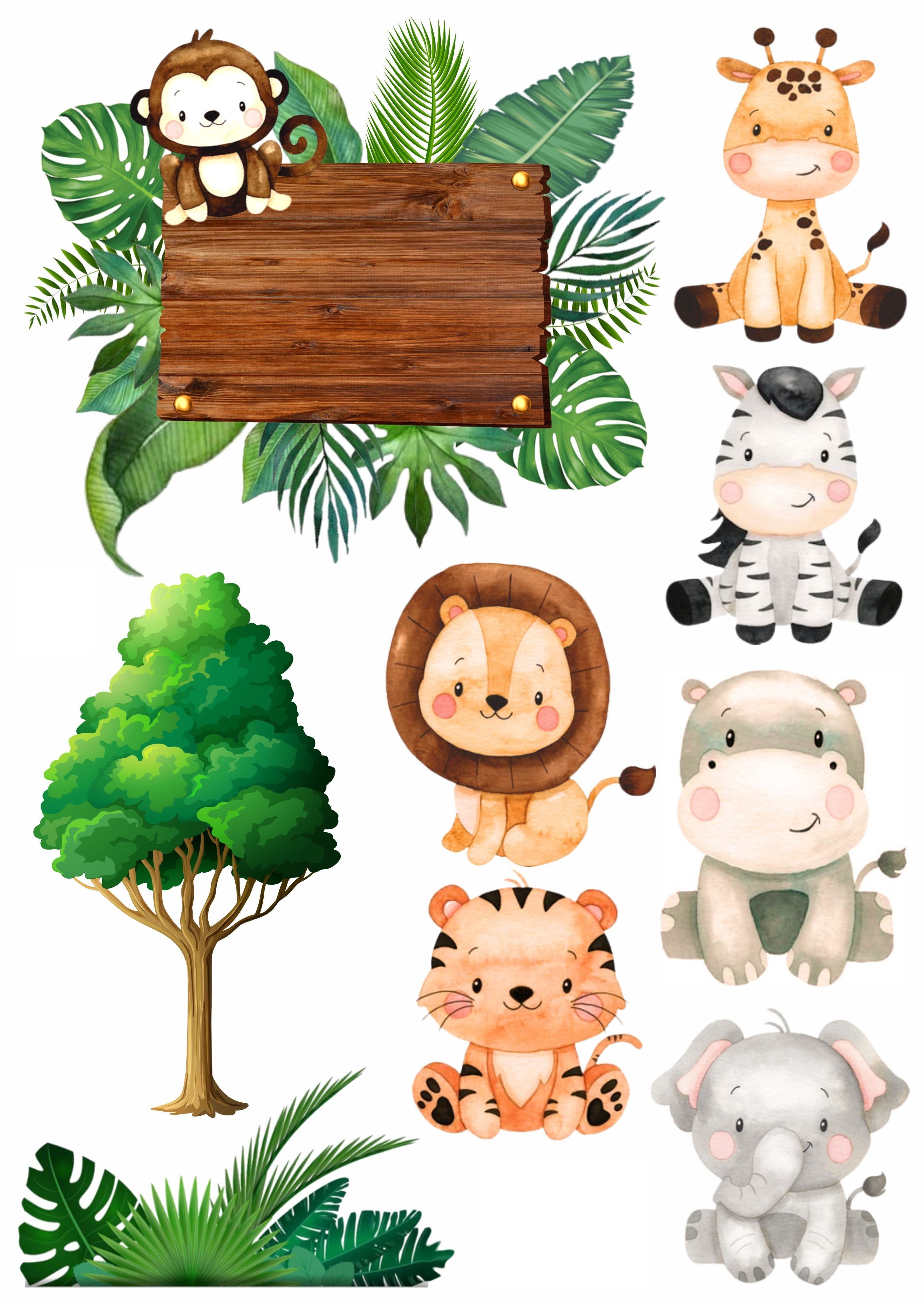 Safari (Magdalenas)