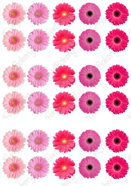Flores (Magdalenas 11-20)