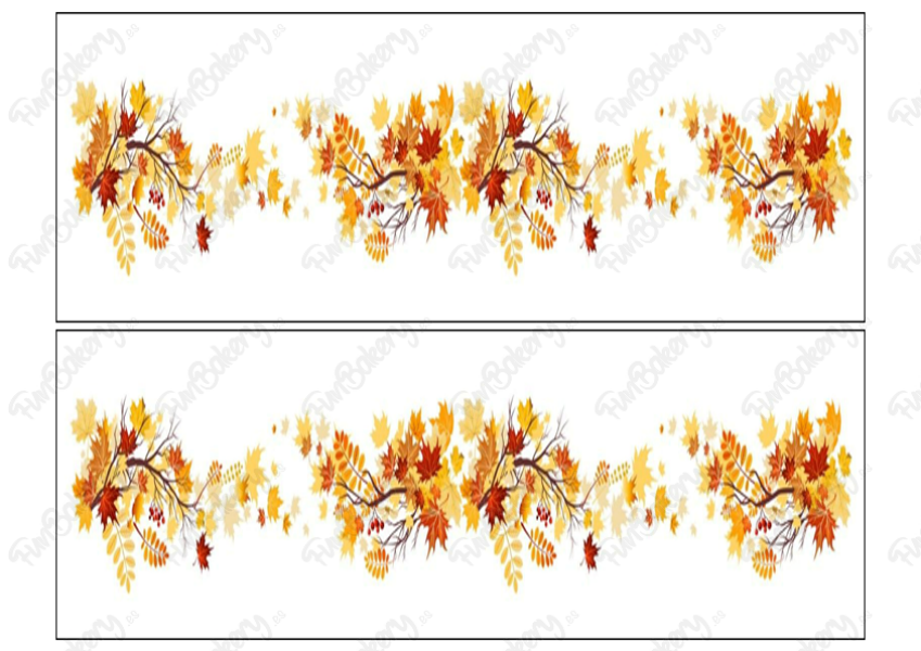 Flores (Cintas 1-5)