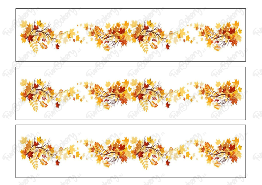 Flores (Cintas 1-5)