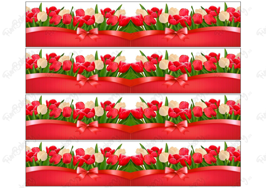 Flores (Cintas 1-5)