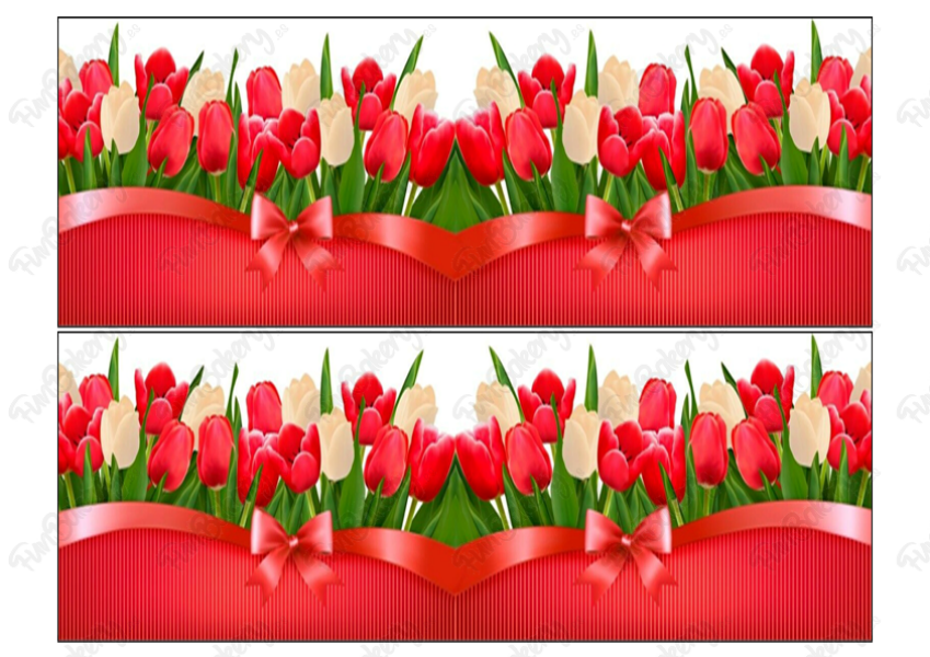 Flores (Cintas 1-5)