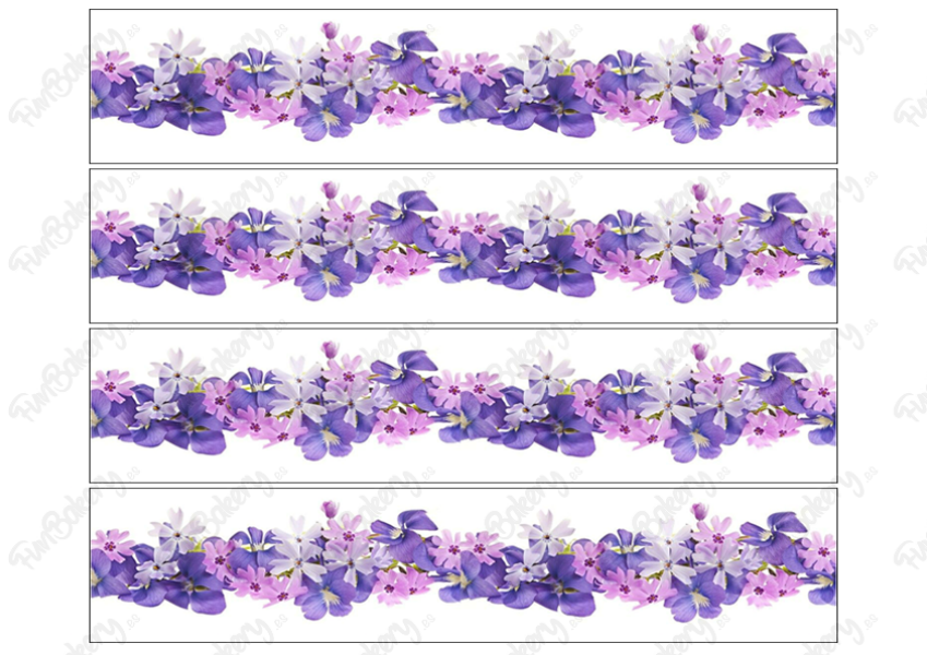Flores (Cintas 6-10)
