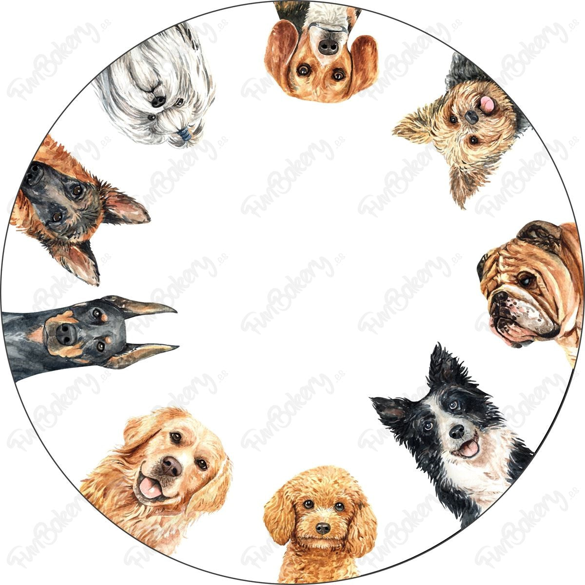 Perros (Discos 17-24)