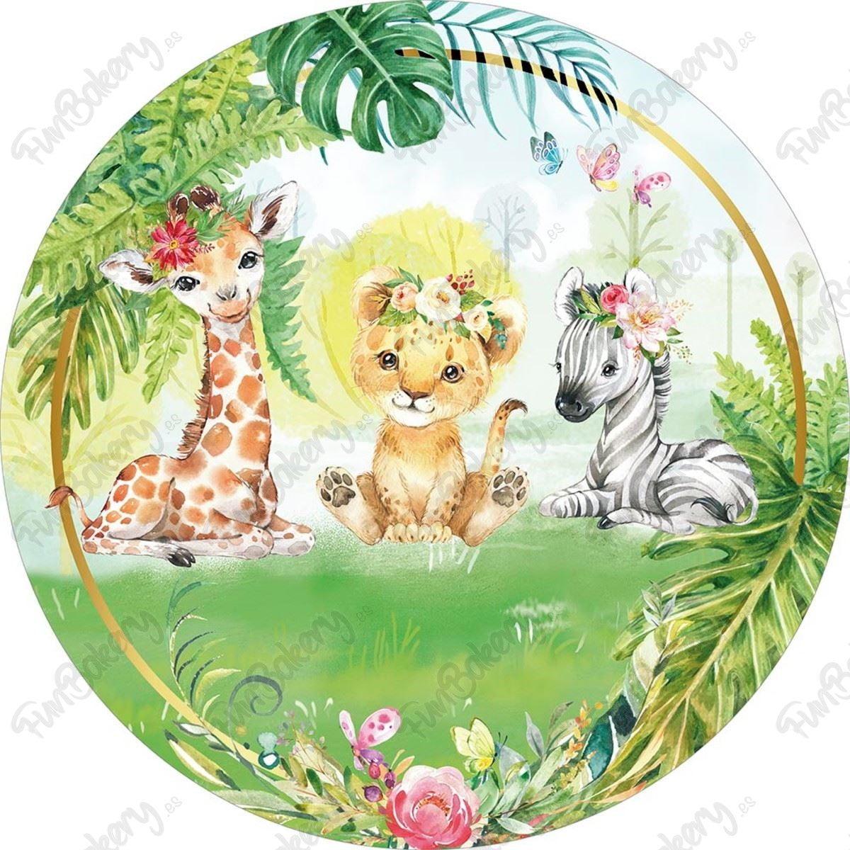Safari (Discos 1-7)