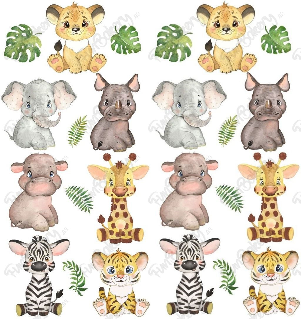 Safari (Magdalenas)