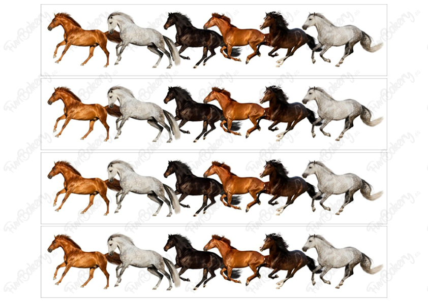 Caballos (Cintas)