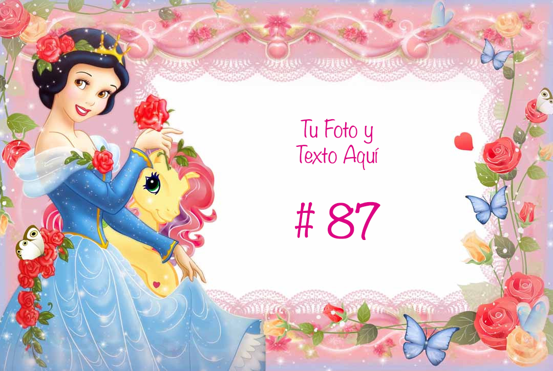 Marcos Rectangulares Personalizados