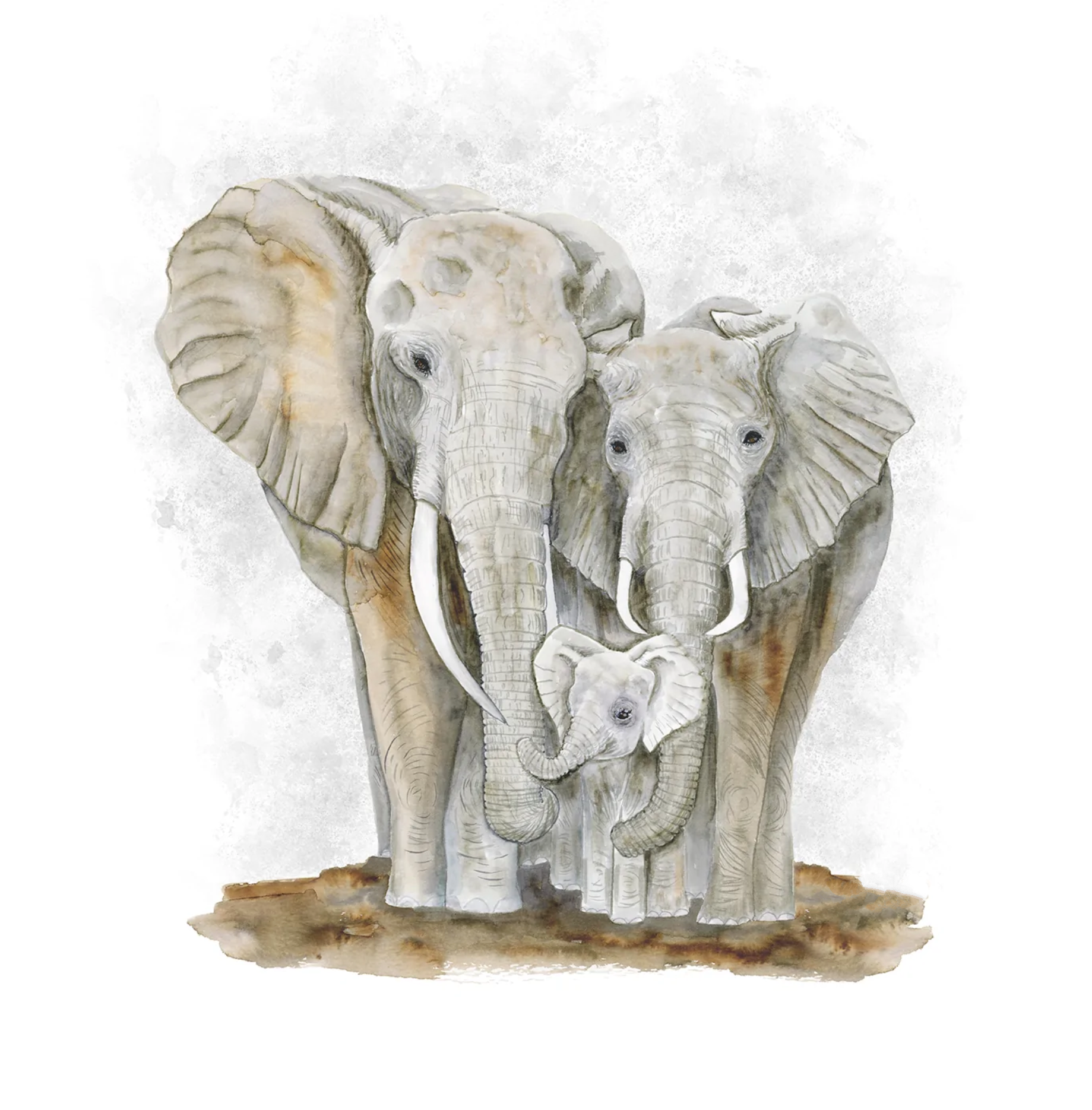 Elefantes (Rectángulos)