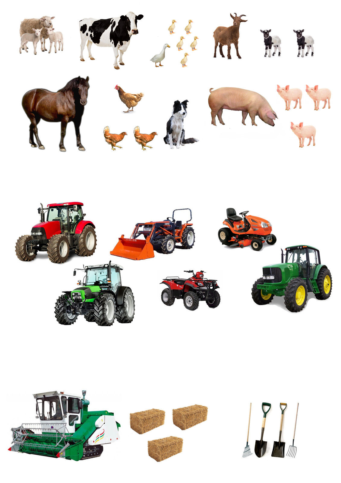 Farm