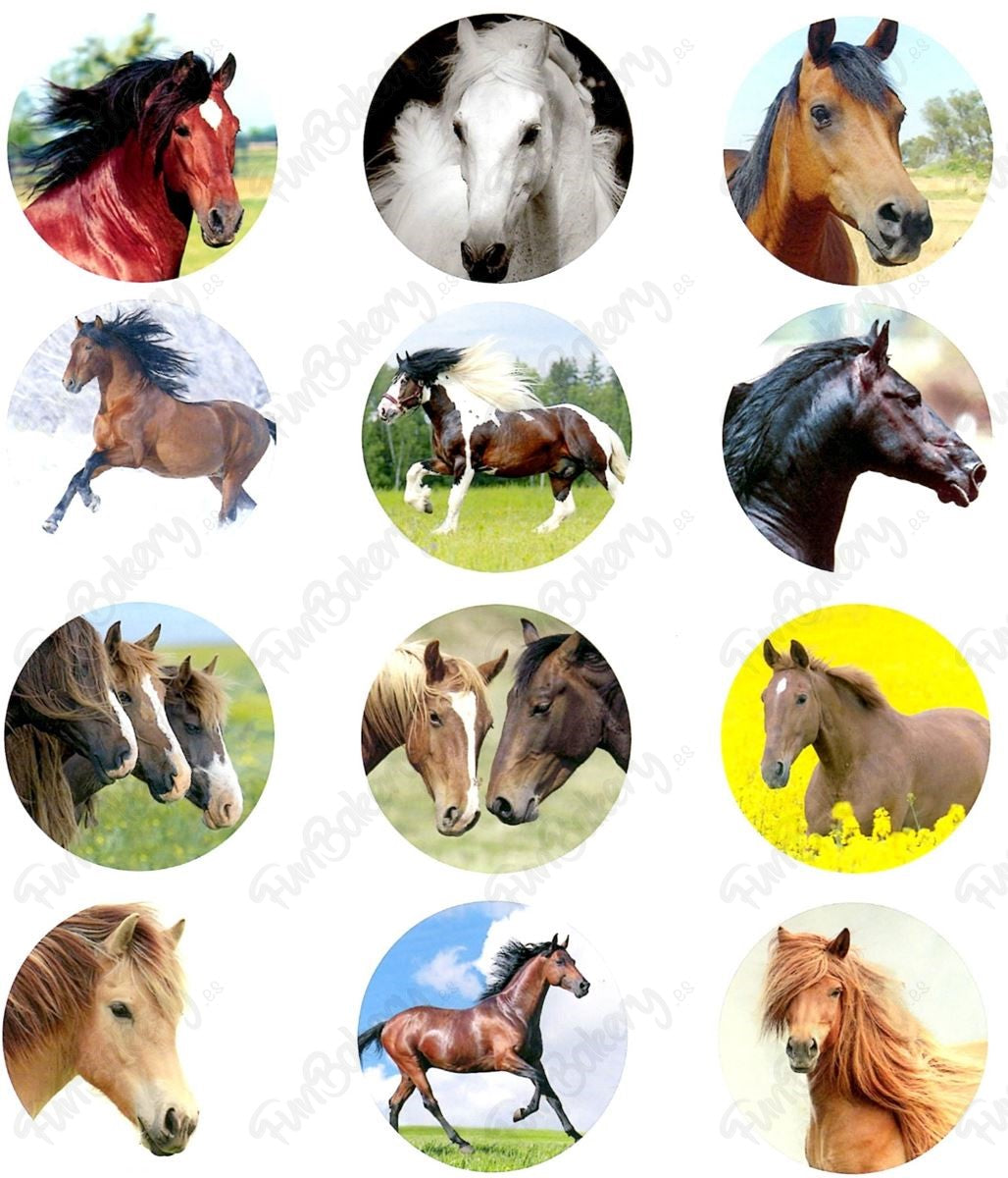 Caballos (Magdalenas)