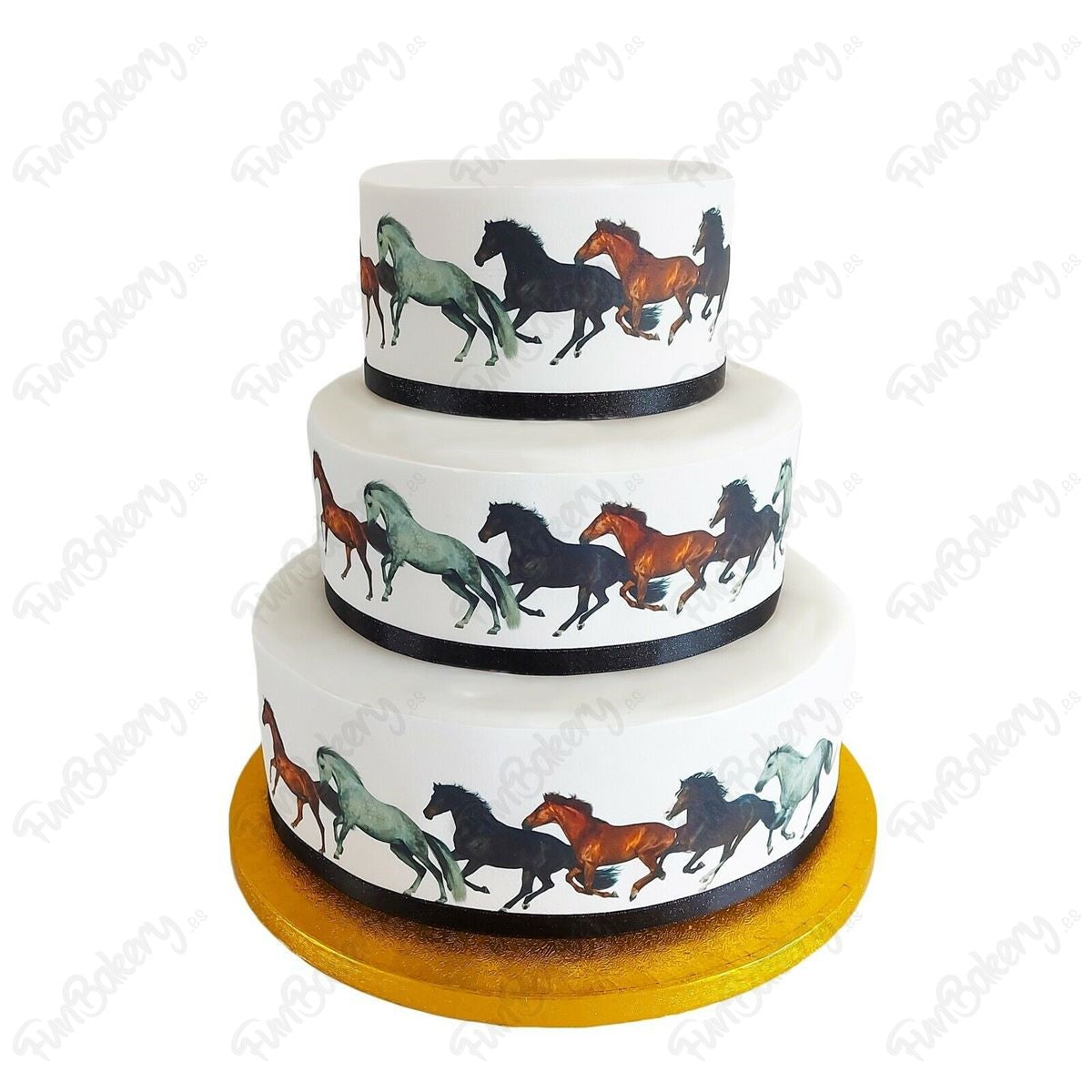 Caballos (Cintas)
