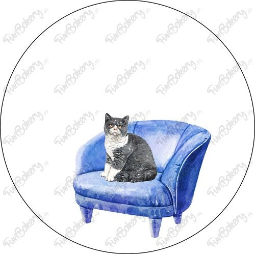Gatos (Discos 9-15)