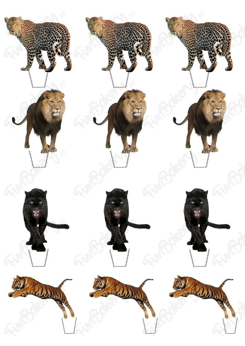 Leones (Magdalenas)