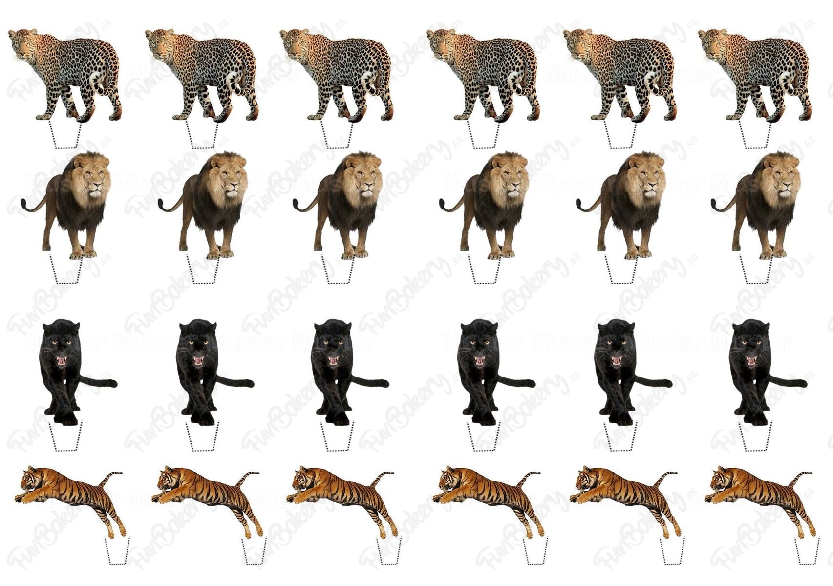 Leones (Magdalenas)