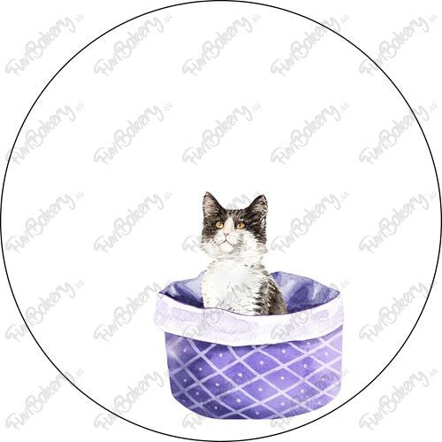 Gatos (Discos 9-15)