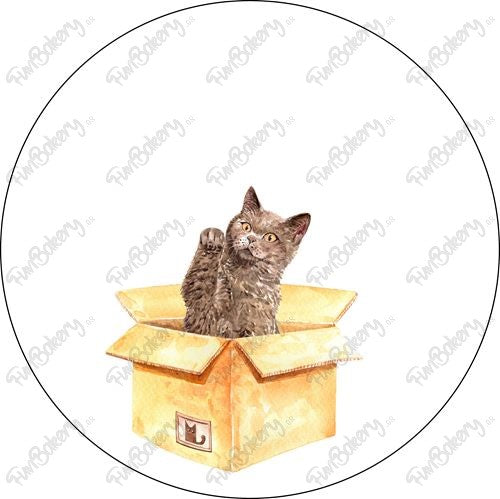 Gatos (Discos 9-15)