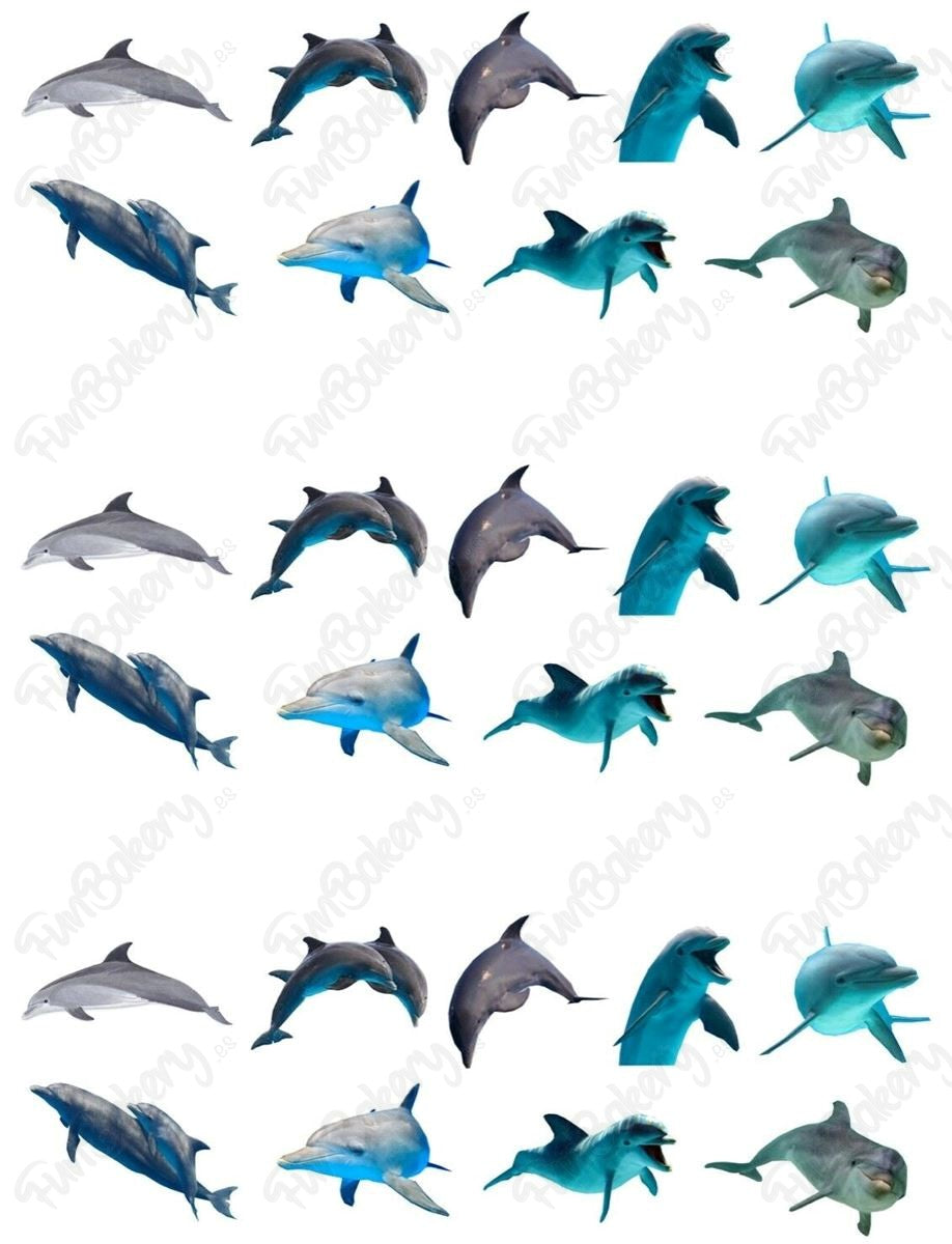 Delfines (Magdalenas)
