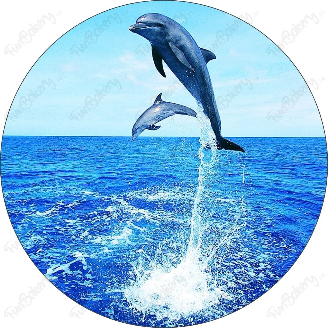 Delfines (Discos)