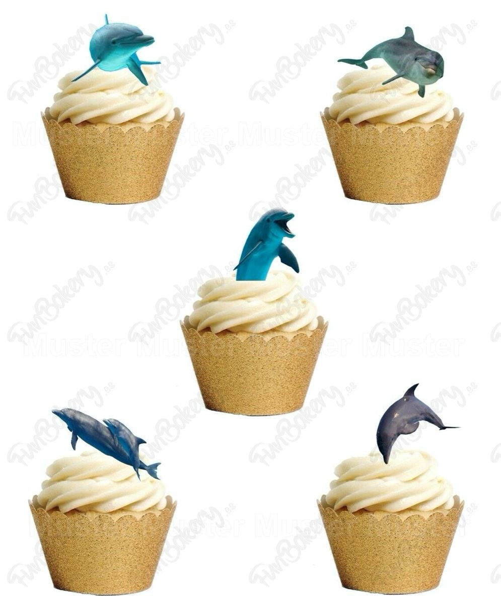 Delfines (Magdalenas)