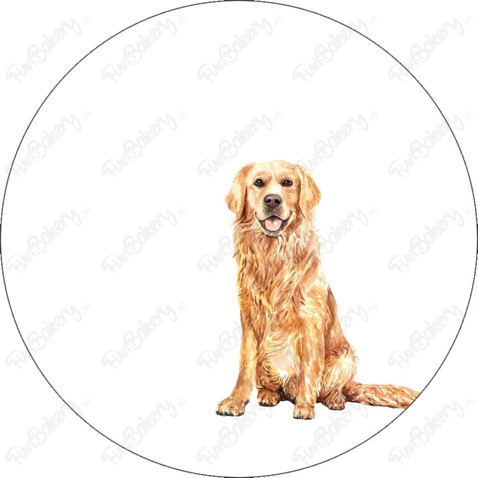 Perros (Discos 9-16)