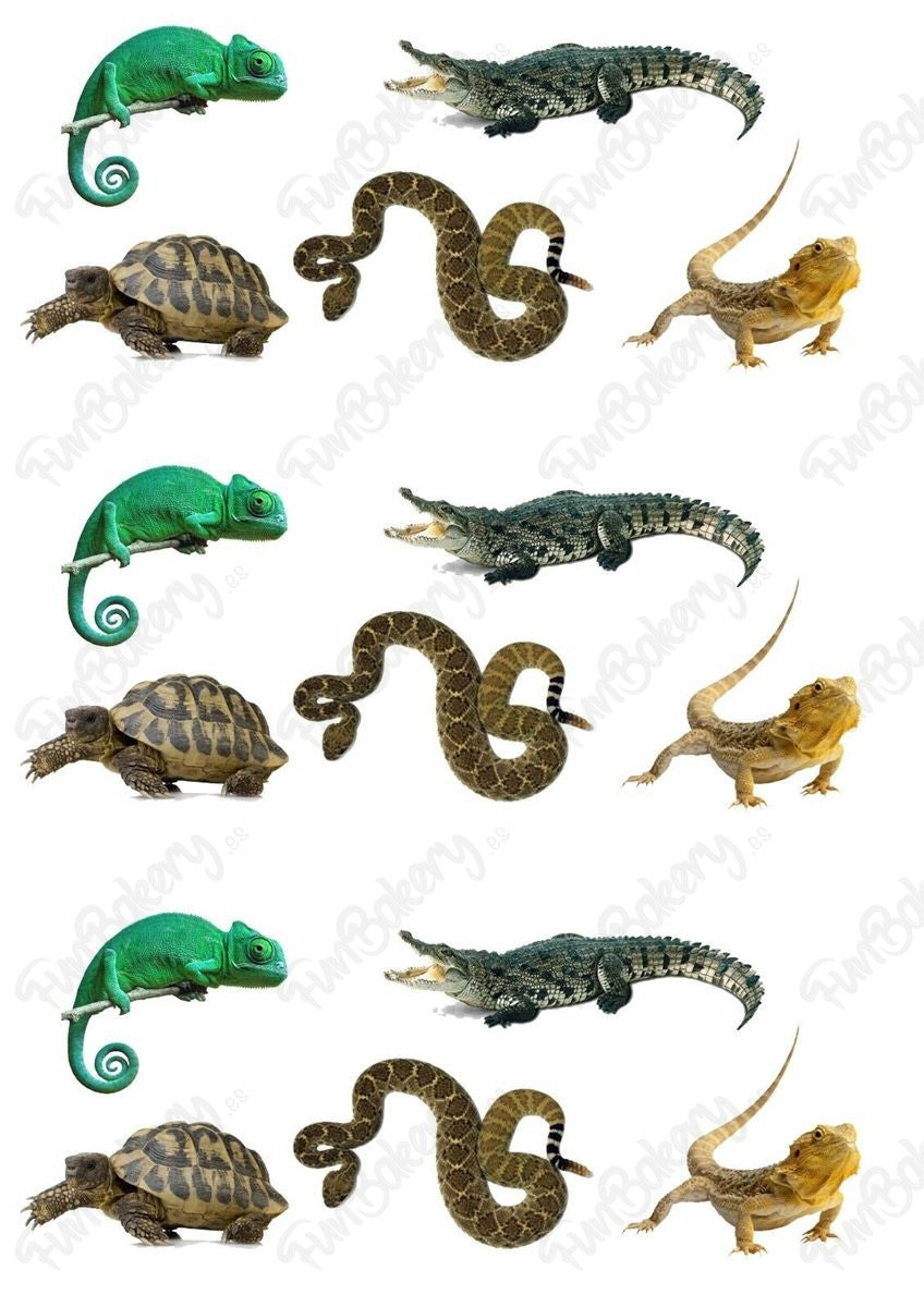 Reptiles (Magdalenas)